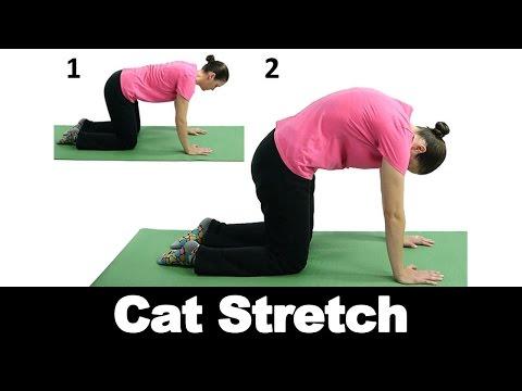 click to play the video